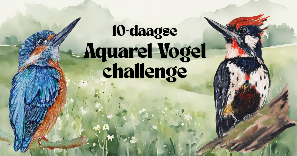 10-daagse vogel challenge header2